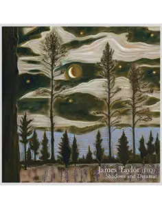 The James Taylor Qua - Shadows and Dreams