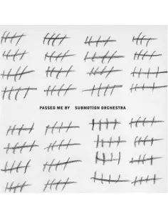 Submotion Orchestra - Passed Me By