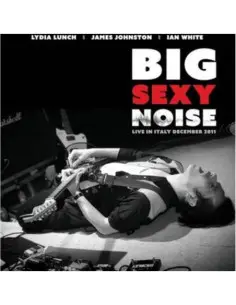 Big Sexy Noise - Live In Italy December 2011