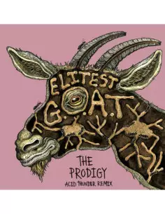 Sleaford Mods - Elitest G.O.A.T - The Prodigy Acid Thund