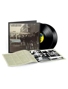 Flamin Groovies - Shake Some Action (2026)