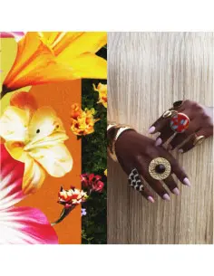 Somi - What Does It Take To Bloom?