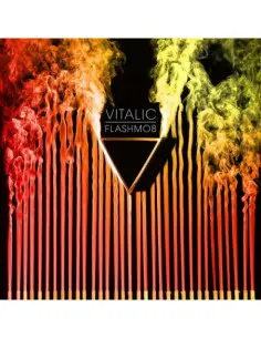 Vitalic - Flashmob (2026 Edition)