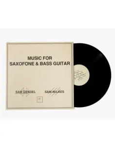 Sam Gendel and Sam Wil - Music For Saxofone and Bass Guitar