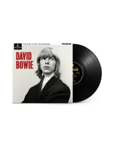 Bowie David - The Shel Talmy Recordings Vinile