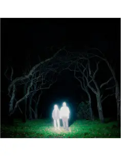 Gnoomes - Losey (Slate Grey Vinyl)