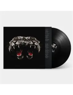 Royal Blood - Dead Company