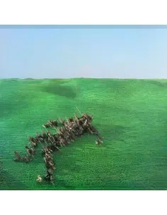 Squid - Bright Green Field