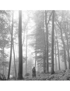 Swift Taylor - Folklore