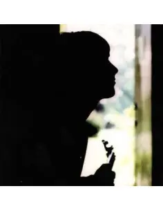 Weller Paul - Wild Wood