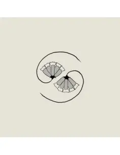 Godspeed You! Black Emperor - G D S Pee At State S End!
