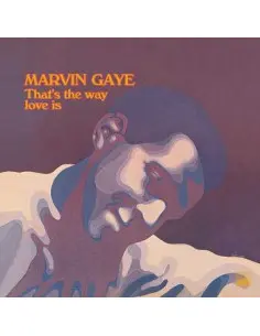 Gaye Marvin - That'S The Way Love Is