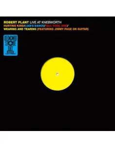 Plant Robert - Knebworth 1990 (12p) (Rsd 21)