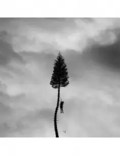 Manchester Orchestra - A Black Mile To The Surface - (CD)
