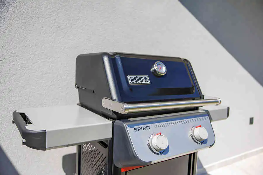 Euphoria Animar & Tiema